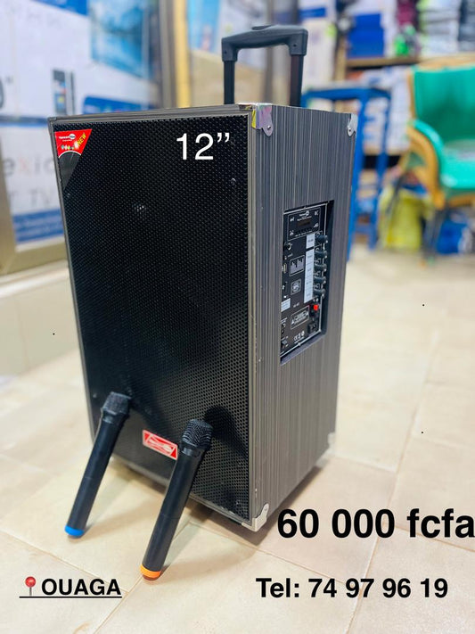 Boombox HS 612 avec 2 micros baladeurs , 12000 w